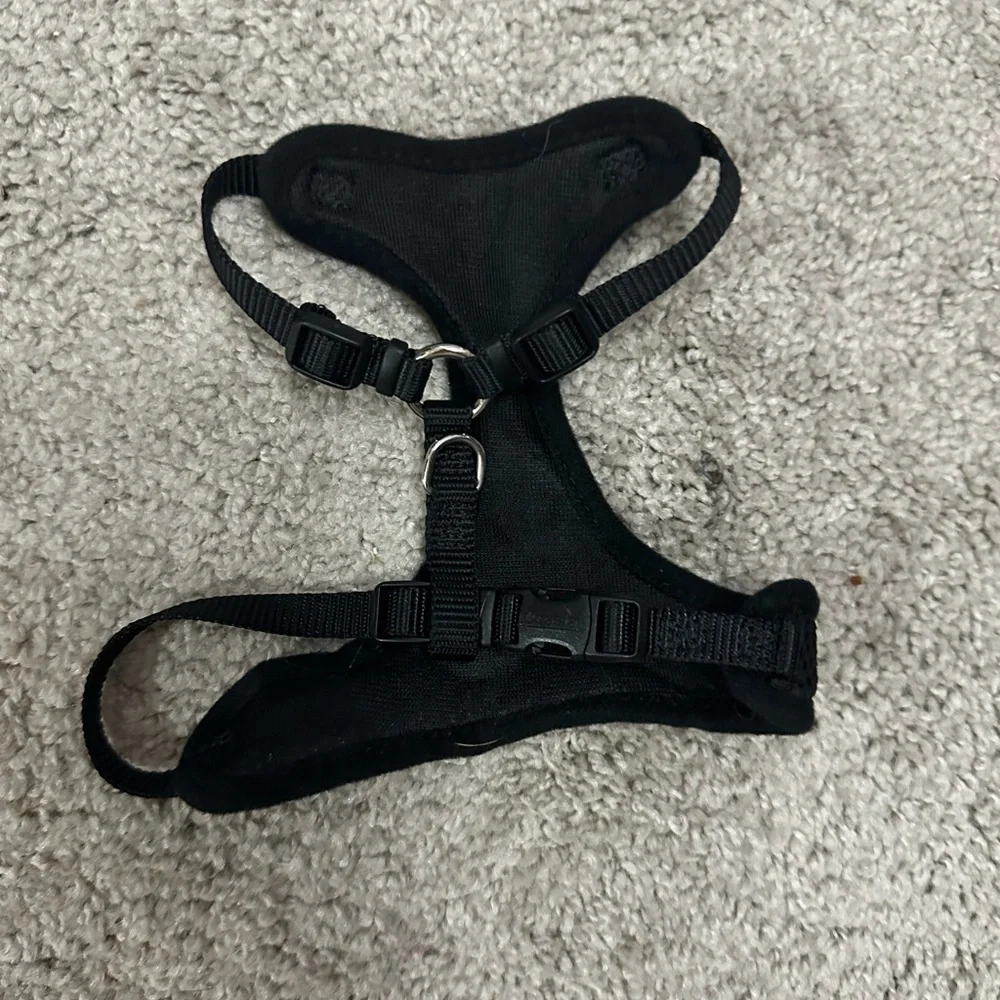 size xs/s cat harness